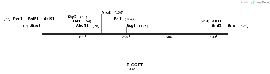 58339_map