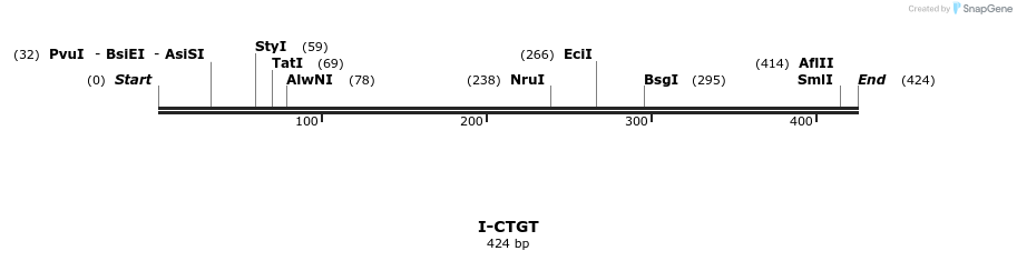 58351_map