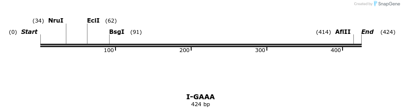 58356_map