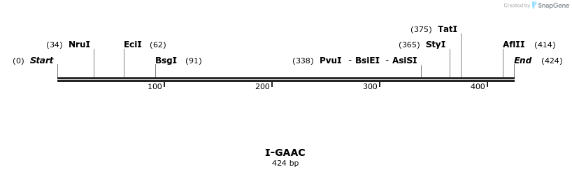 58357_map