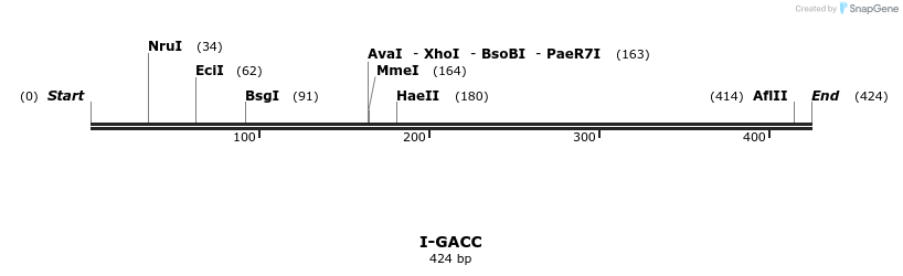58361_map