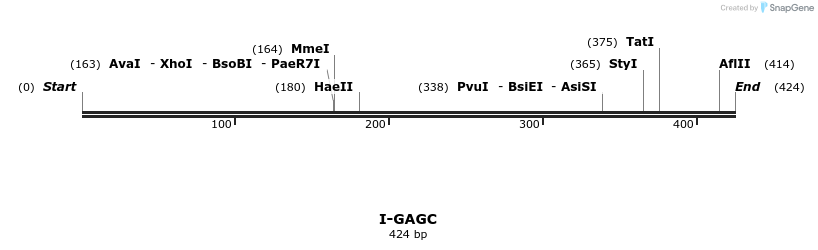 58365_map