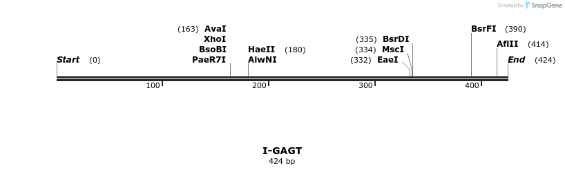 58367_map