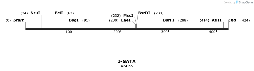 58368_map