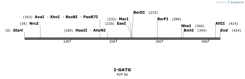 58370_map