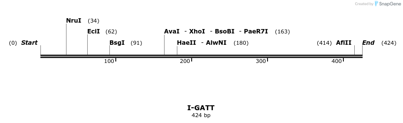 58371_map