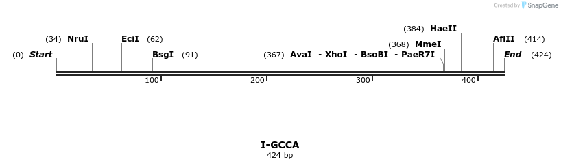 58376_map