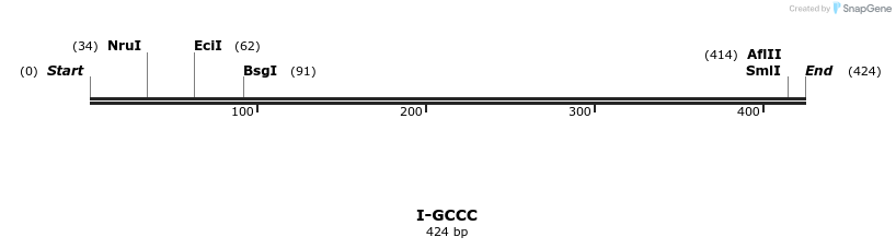 58377_map