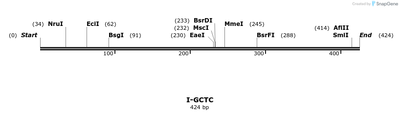 58385_map