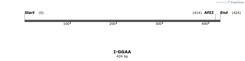 58388_map
