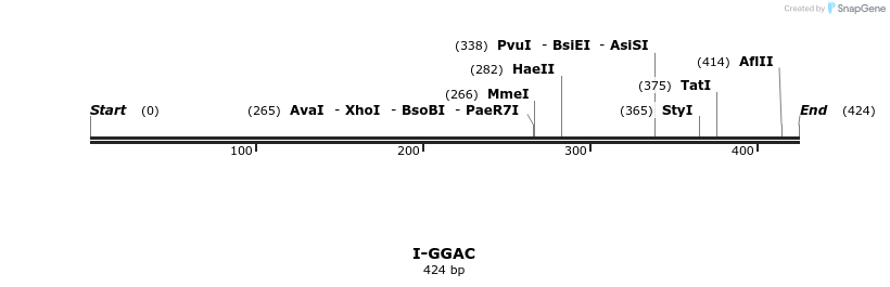 58389_map