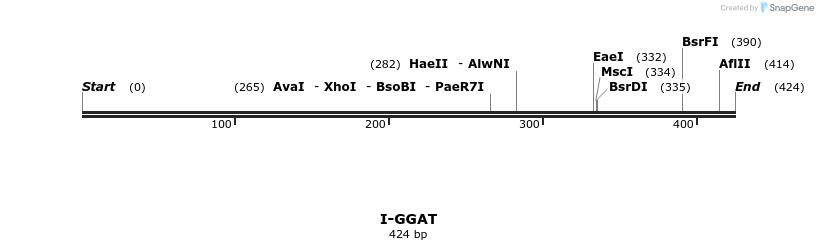58391_map