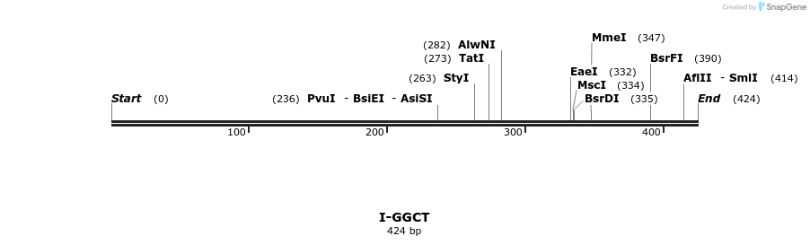 58395_map
