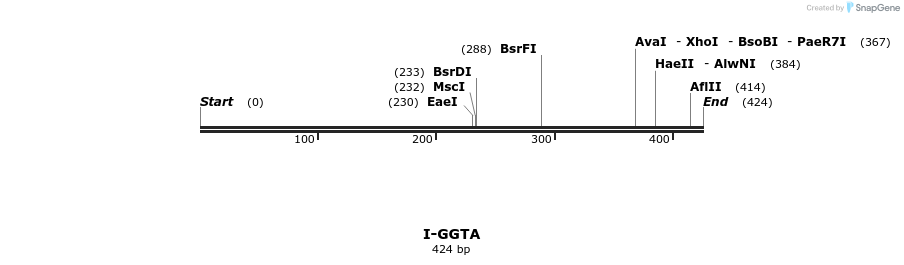 58400_map