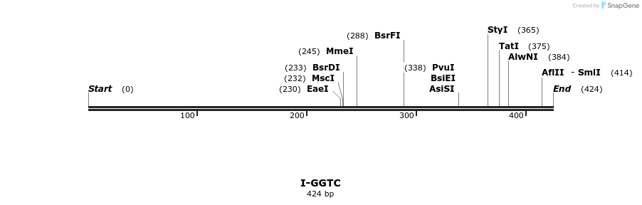 58401_map