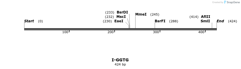 58402_map
