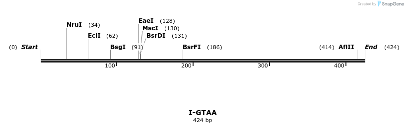 58404_map