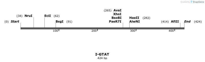 58407_map