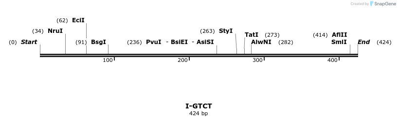 58411_map