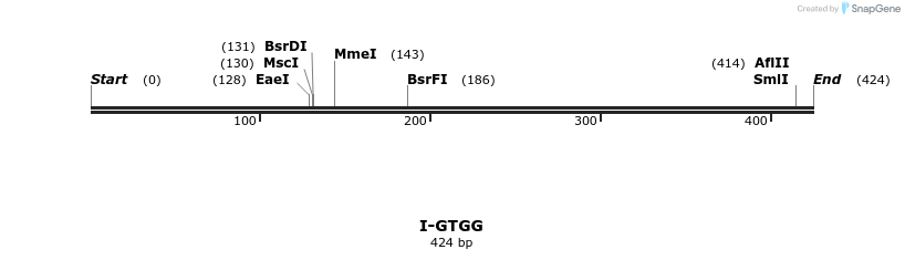 58414_map