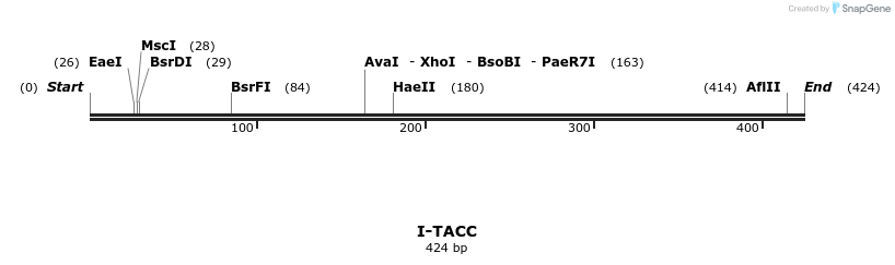 58425_map