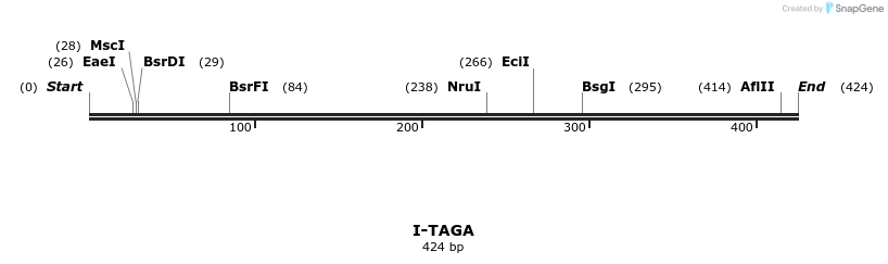 58428_map