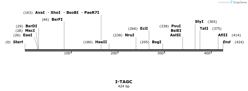 58429_map