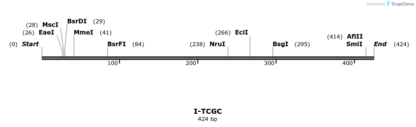 58445_map