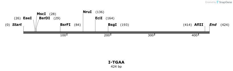 58452_map