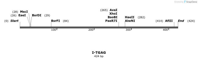 58454_map