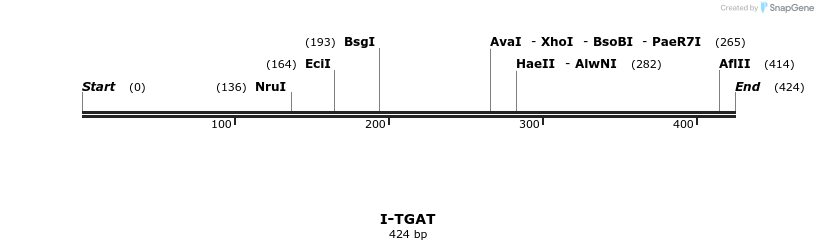 58455_map