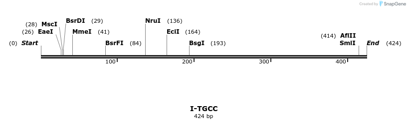 58457_map