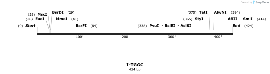 58461_map