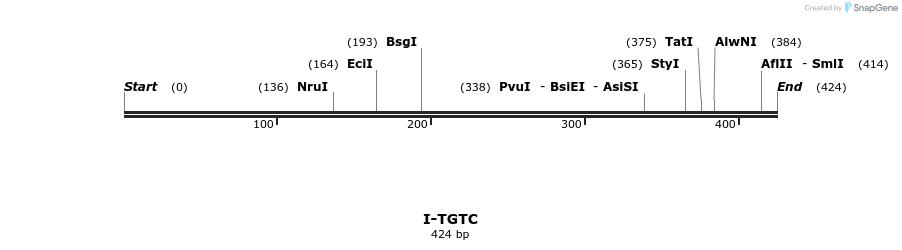 58465_map