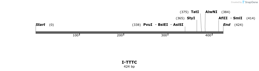 58481_map