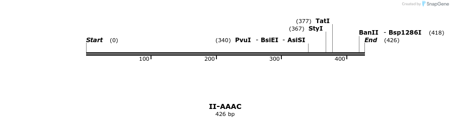 58485_map