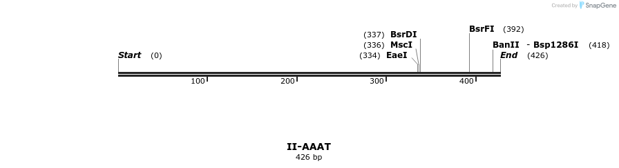 58487_map