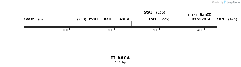 58488_map