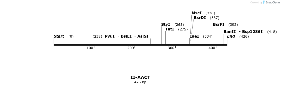 58491_map