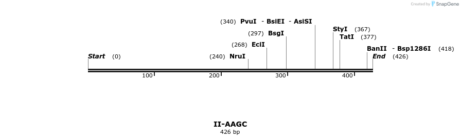 58493_map