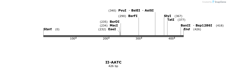 58497_map