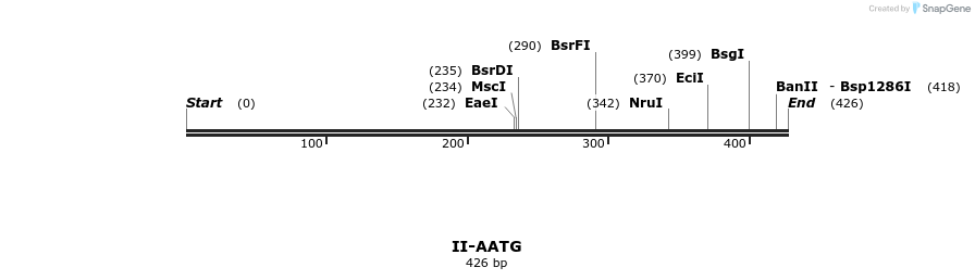 58498_map