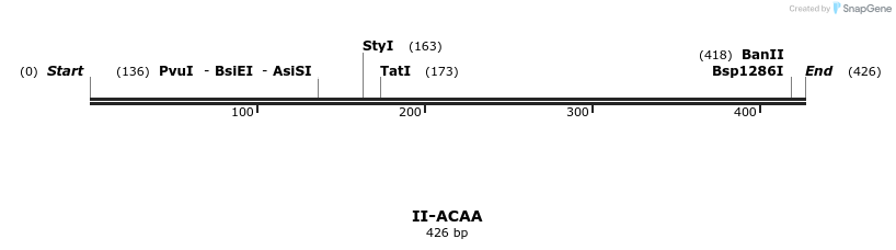 58500_map