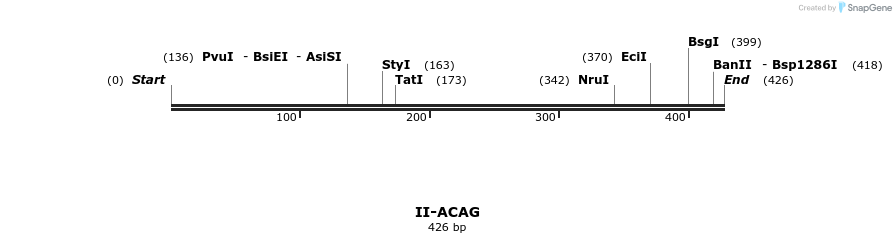 58502_map