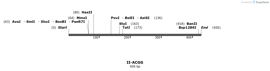 58510_map
