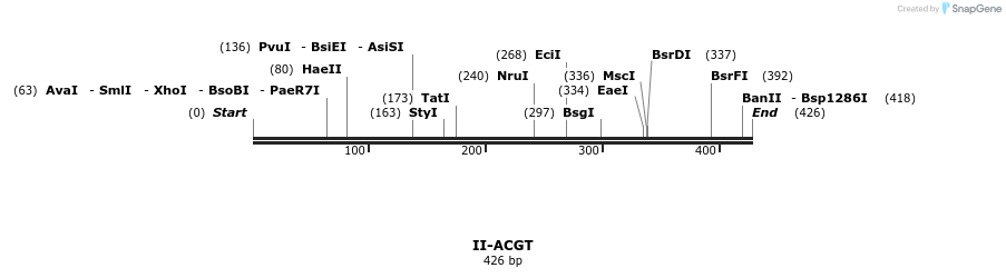 58511_map