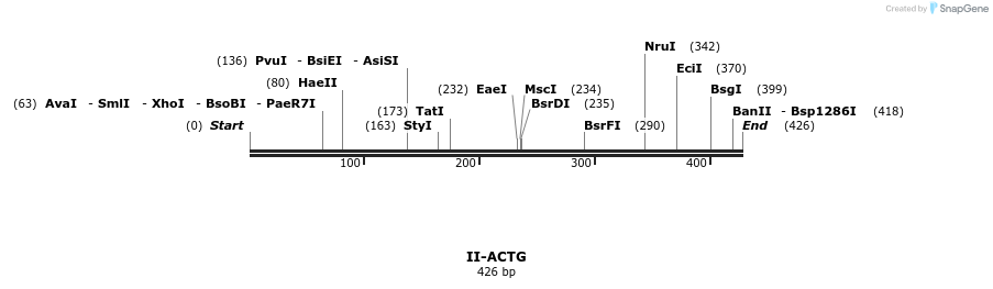 58514_map