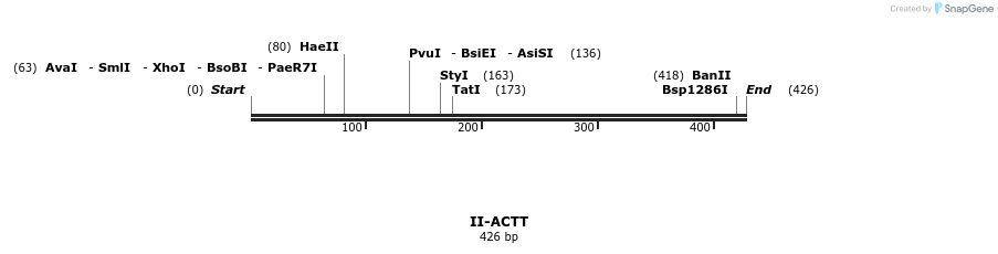 58515_map