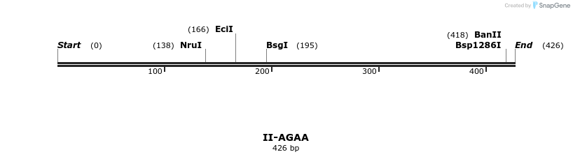 58516_map