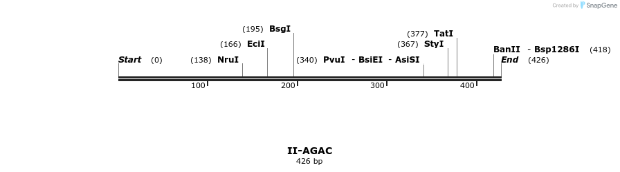 58517_map